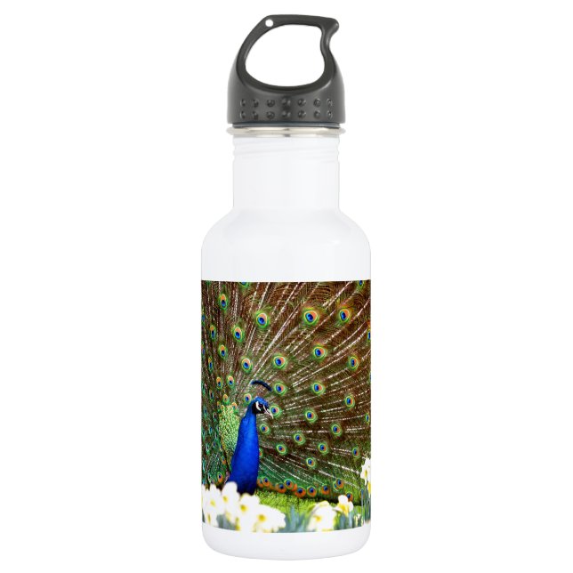 Peacock displays 532 ml water bottle (Front)