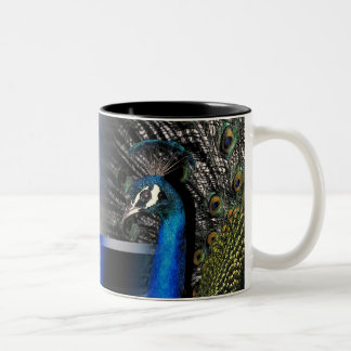 Peacock Dreams Two-Tone Coffee Mug