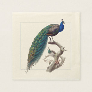 Peacock Elegant Natural History Paper Napkins