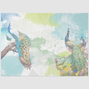 Peacock Ephemera 1 Tissue Paper