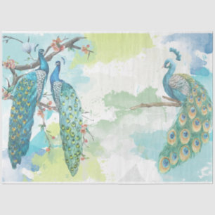 Peacock Ephemera 2 Tissue Paper