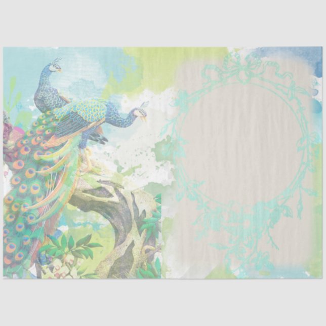 Peacock Ephemera 3 Tissue Paper (Front)