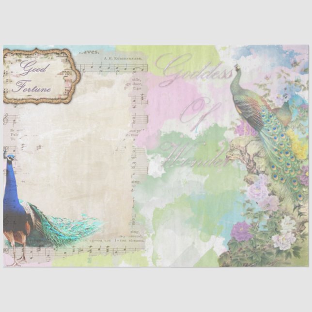 Peacock Ephemera 5 Tissue Paper (Front)