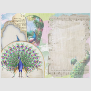 Peacock Ephemera 6 Tissue Paper