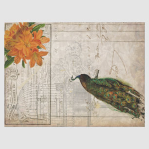 Peacock Ephemera Decoupage Paper