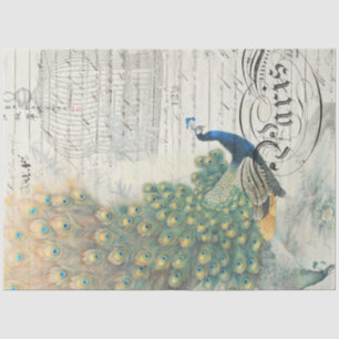 Peacock Ephemera Decoupage Paper
