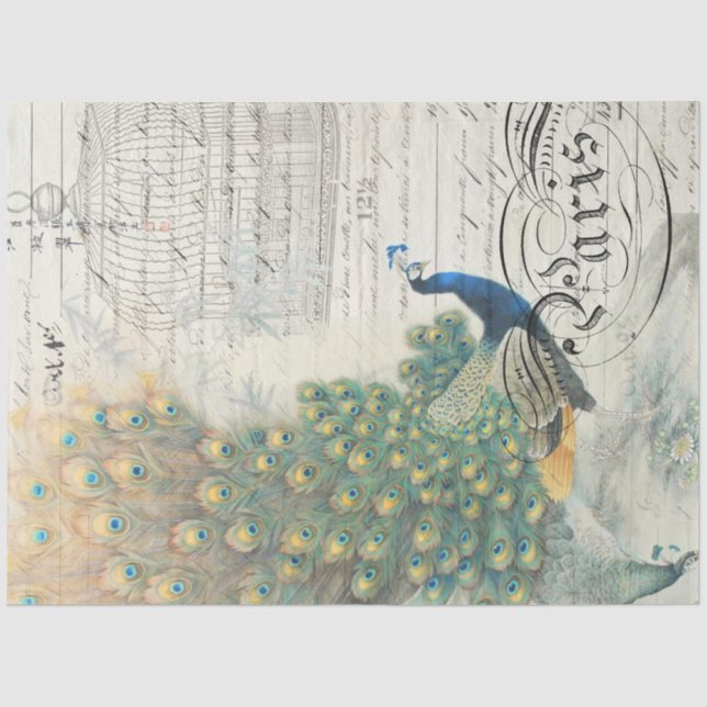 Peacock Ephemera Decoupage Paper (Front)