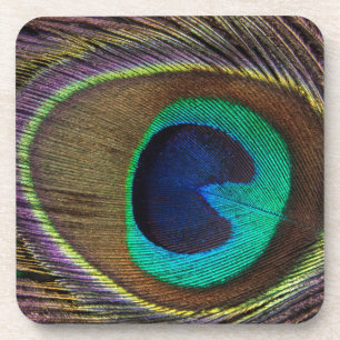Peacock Eye Feather Coaster