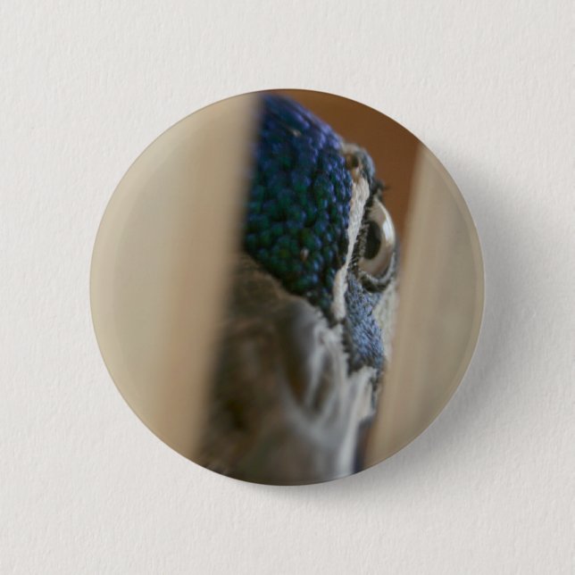 Peacock eye through wooden gate slats 2 inch round button (Front)
