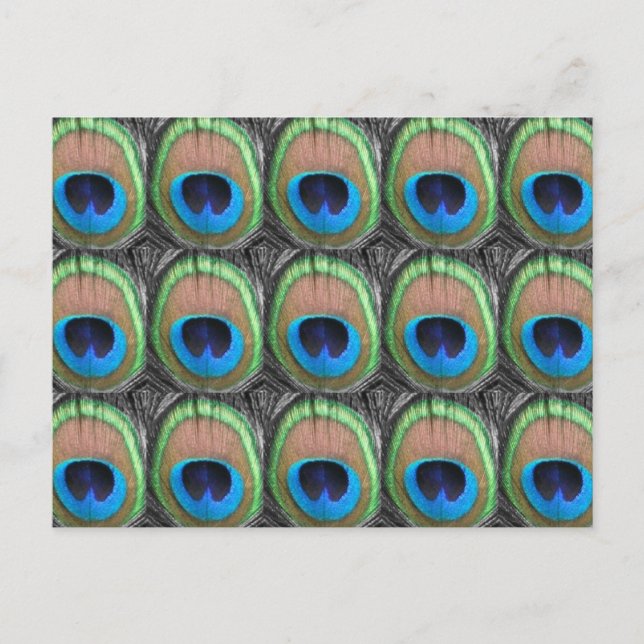 Peacock Eyes Postcard (Front)