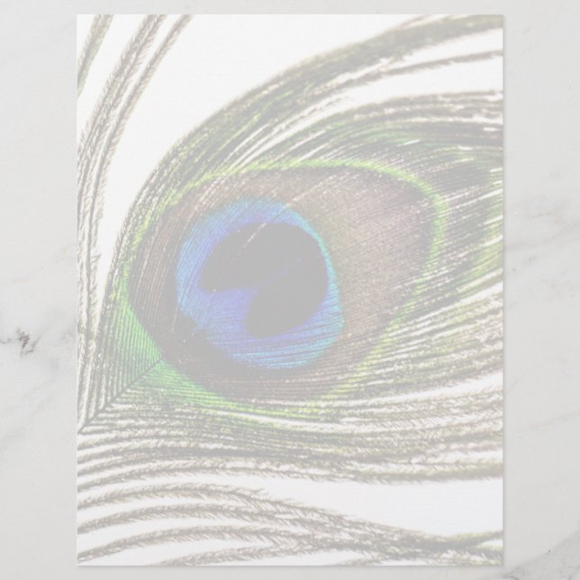 Peacock Feather (Front)