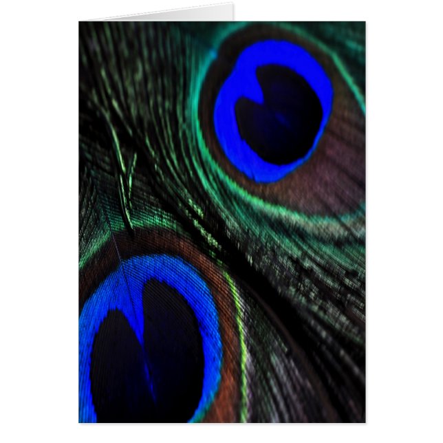 Peacock feather (Front)