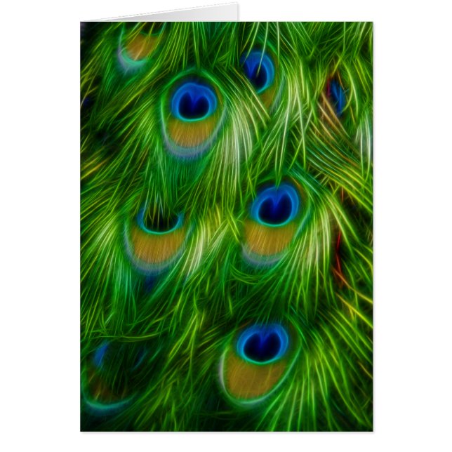 Peacock feather (Devant)