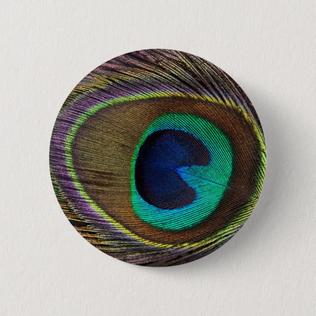 peacock feather 2 inch round button (Front)