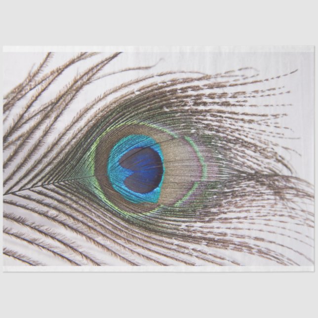 Peacock Feather 3 Decoupage Tissue Paper (Front)