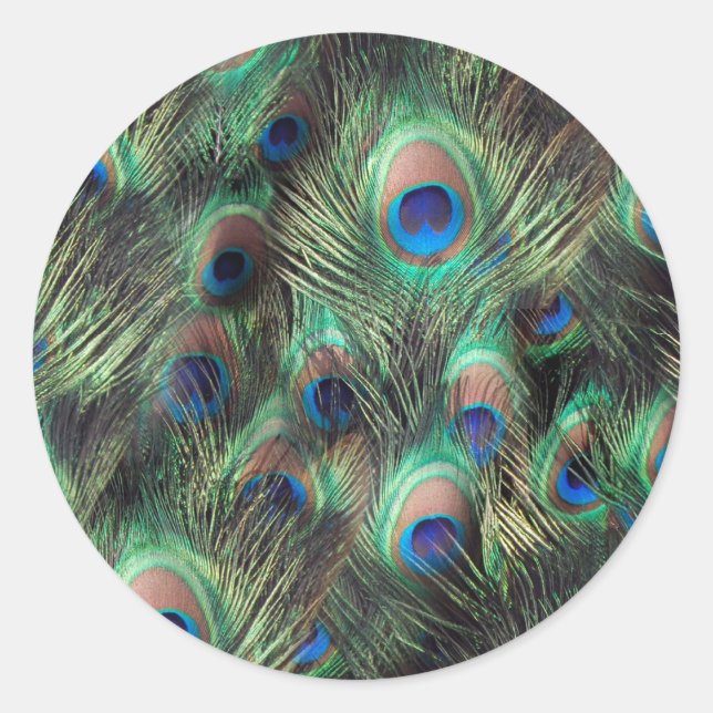 Peacock Feather Background Classic Round Sticker (Front)