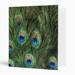 Peacock Feather Binder