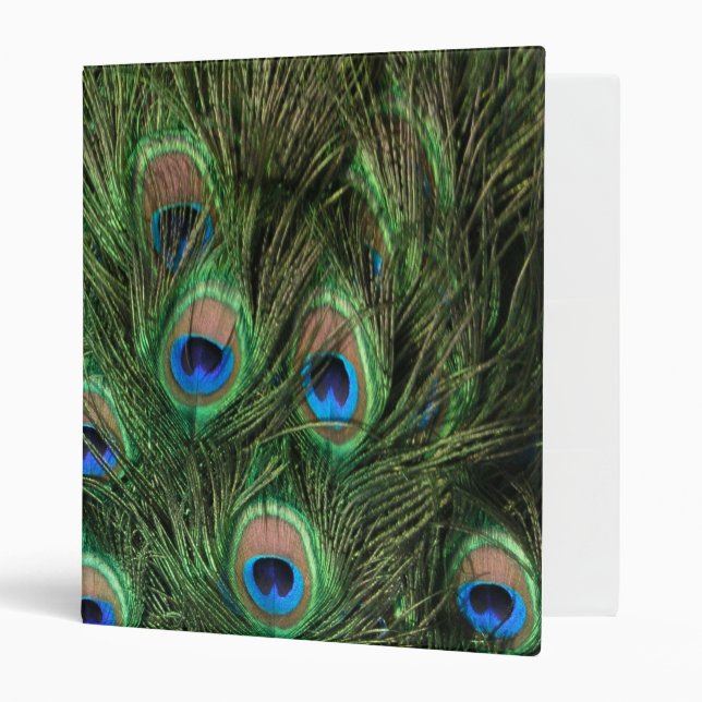 Peacock Feather Binder (Front/Inside)