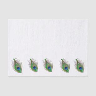 Peacock feather bordered tissue paper