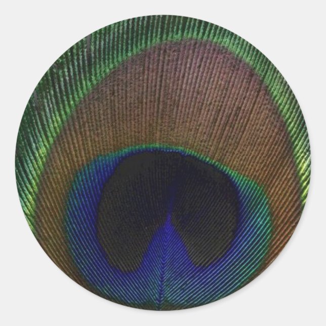 Peacock Feather Classic Round Sticker (Front)