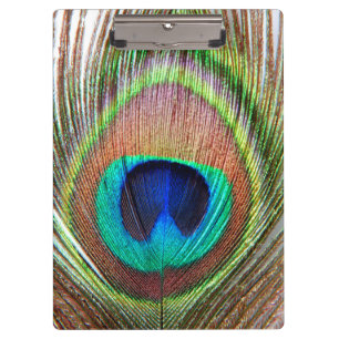 Peacock Feather Clipboard