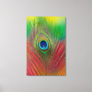 Peacock feather close-up canvas print