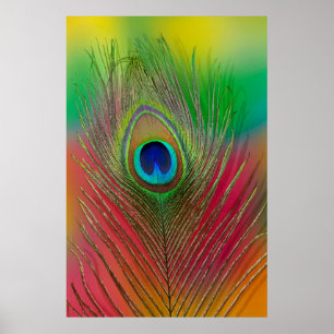 Peacock feather close-up poster