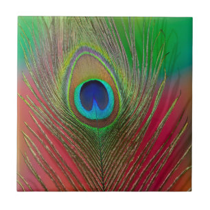 Peacock feather close-up tile