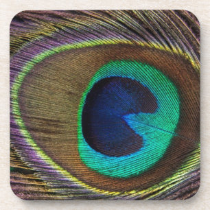 peacock feather coaster