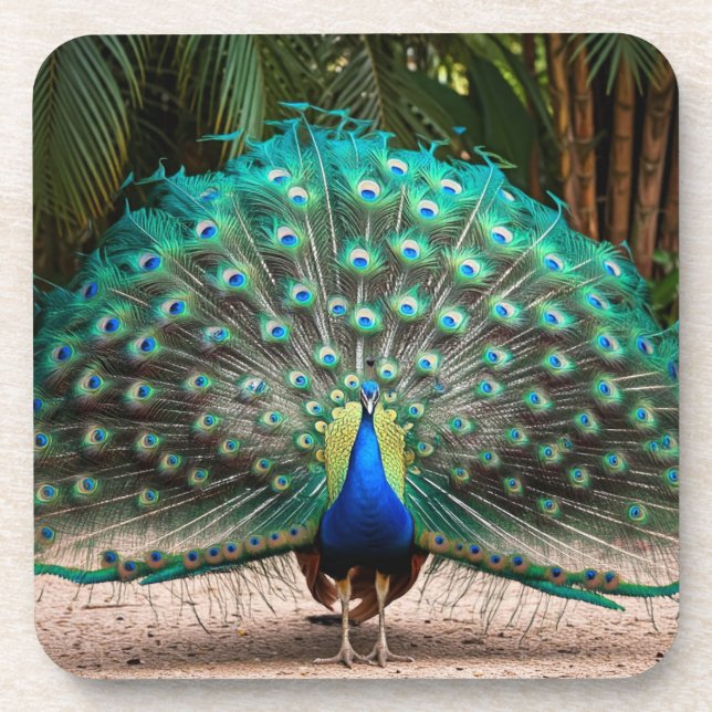 Peacock Feather Fanning Coaster (Front)