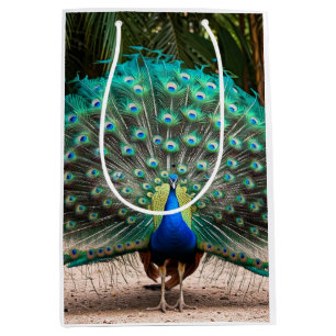 Peacock Feather Fanning Medium Gift Bag