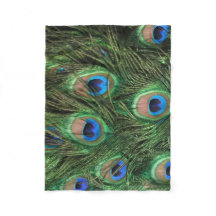 Peacock Feather
