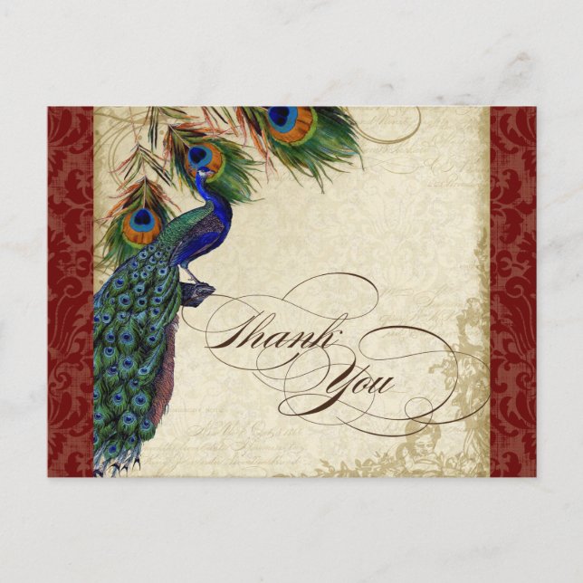 Peacock & Feather Formal Thank You Note Burgundy Postcard (Front)
