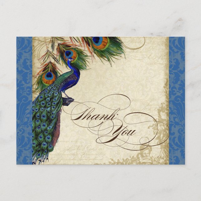 Peacock & Feather Formal Thank You Note Royal Blue Postcard (Front)