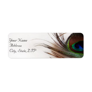 Peacock Feather Glamour Return Address