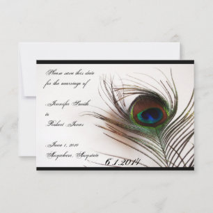 Peacock Feather Glamour Save the Date
