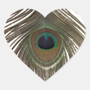 Peacock feather heart sticker