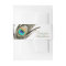 Peacock Feather