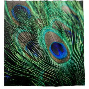 Peacock Feather Lucky