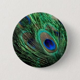 Peacock Feather Lucky 2 Inch Round Button