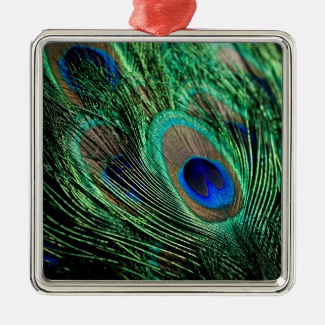 Peacock Feather Lucky Metal Ornament (Front)