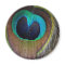 Peacock Feather Magnet