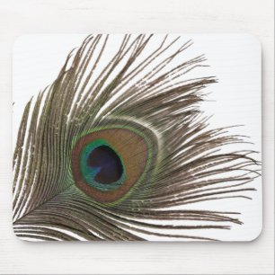 Peacock feather mouse pad