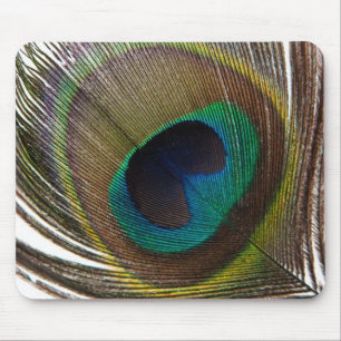 Peacock feather mouse pad