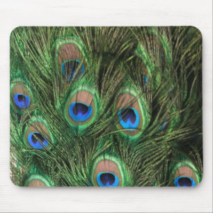 Peacock Feather Mouse Pad