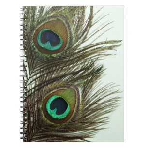 Peacock Feather Notebook