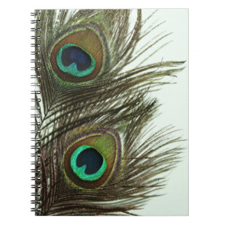 Peacock Feather Notebook