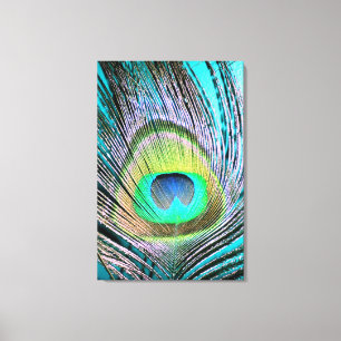 Peacock Feather on Turquoise Canvas Print