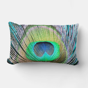 Peacock Feather on Turquoise Lumbar Pillow