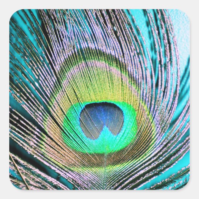 Peacock Feather on Turquoise Square Sticker (Front)